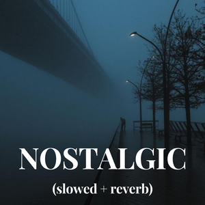 黄片无码免费看
