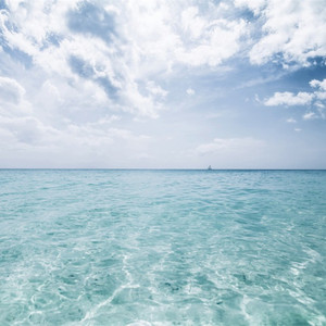 黄片无码免费看
