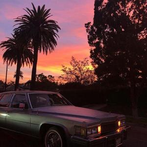 黄片无码免费看
